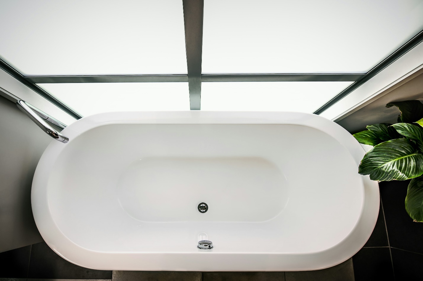 Bird’s eye view of a modern white bathtub with natural lighting and a plant beside it.
